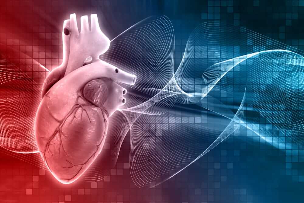 Cardiac AI Diagnostics: The Engineering Behind ECG Interpretation at Clinical Grade